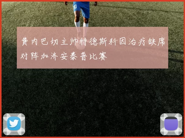 费内巴切主帅特德斯科因治疗缺席对阵加济安泰普比赛