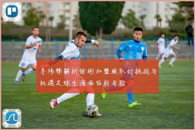 李玮锋解析徐彬加盟狼队的挑战与机遇足球生涯面临新考验