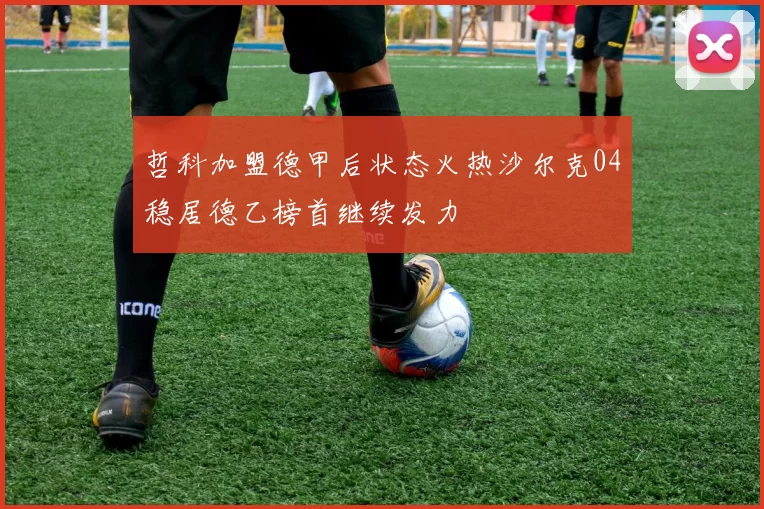 哲科加盟德甲后状态火热沙尔克04稳居德乙榜首继续发力